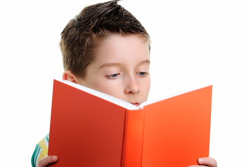 Boy reading a book